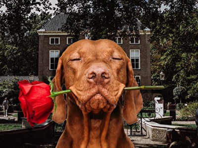 BE MY VALENTINE!