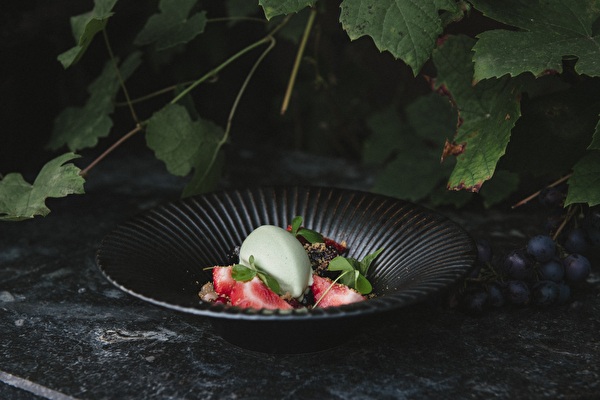 De Havixhorst "Le Midi"