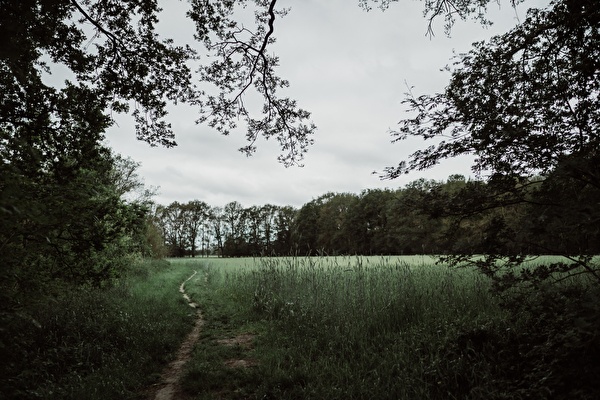 Hiking